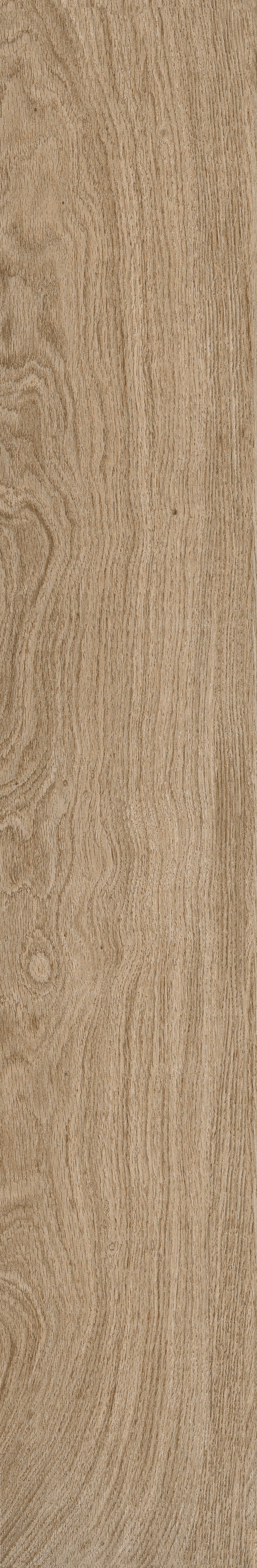 Giania 木紋磚 Bm122502m
