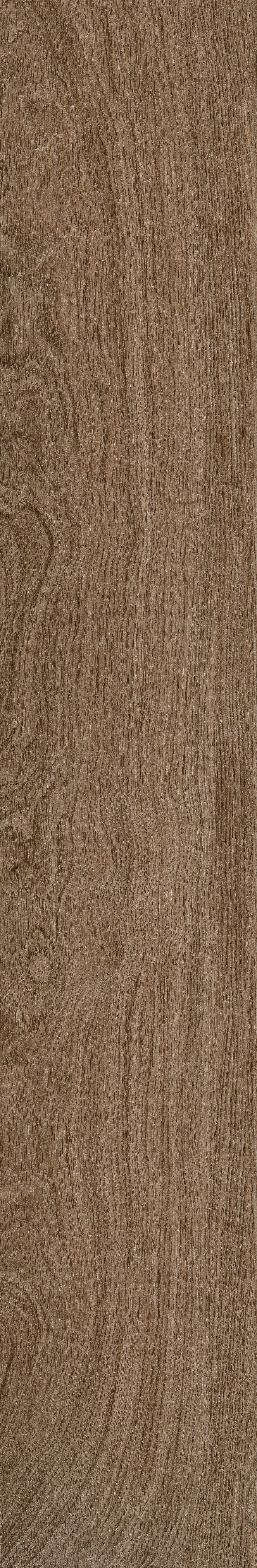 Giania 木紋磚 Bm122504m