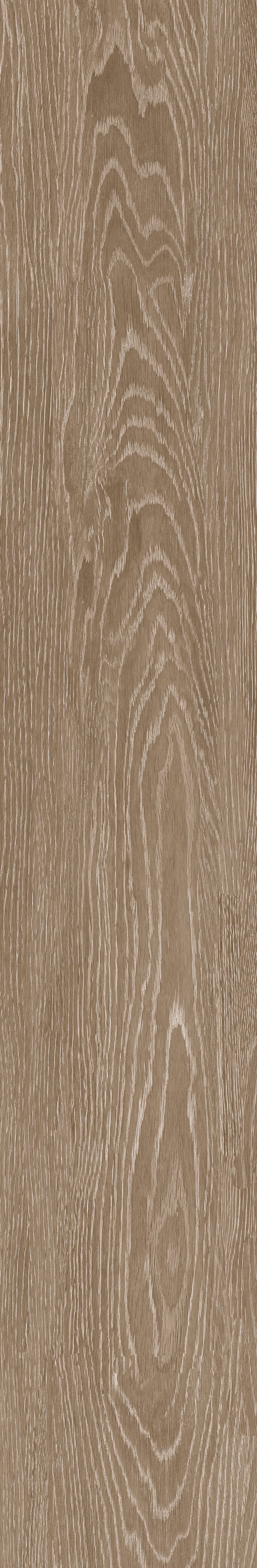 Giania 木紋磚 Bm122804m